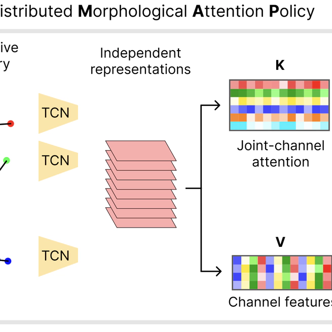 DMAP: a Distributed Morphological Attention Policy for learning to locomote with a changing body