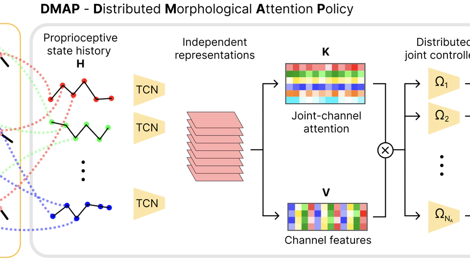 DMAP: a Distributed Morphological Attention Policy for learning to locomote with a changing body